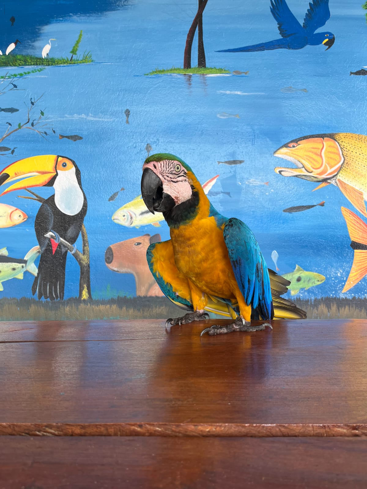 Imagem da galeria 19